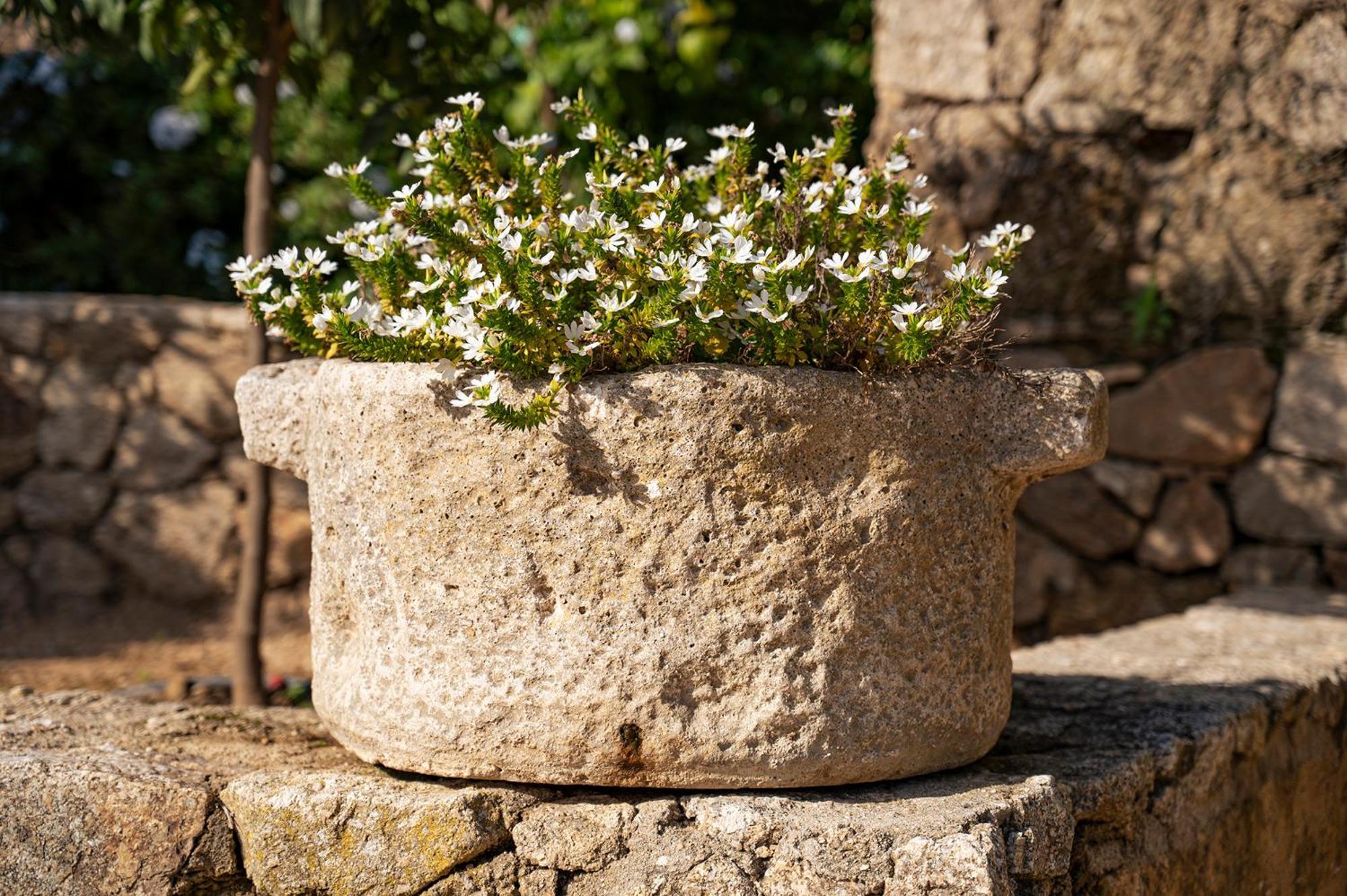 Le Clos De Mansart Grimaud Eksteriør billede
