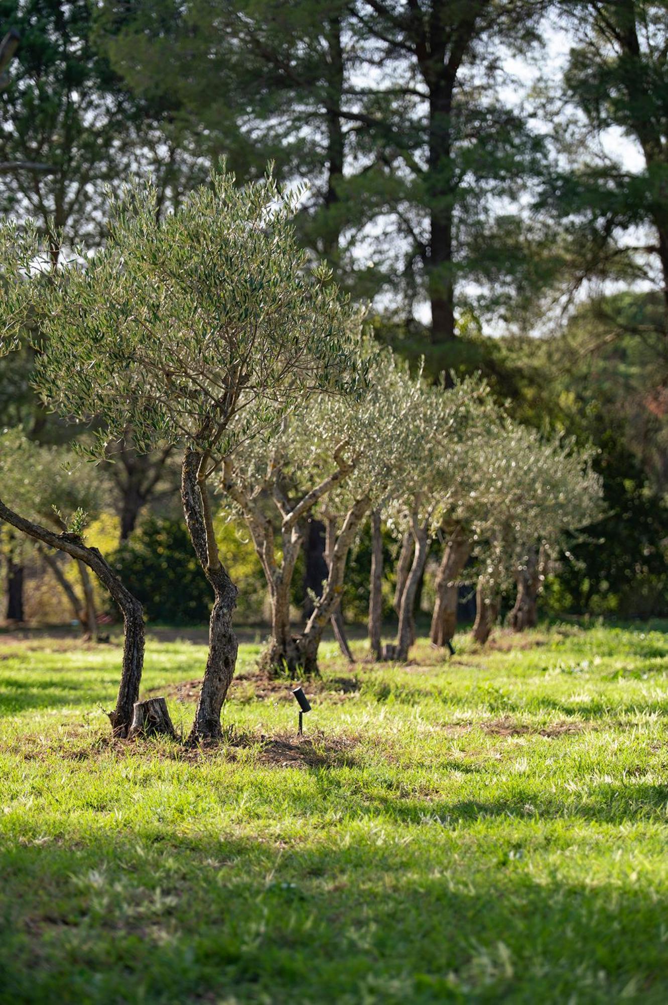 Le Clos De Mansart Grimaud Eksteriør billede