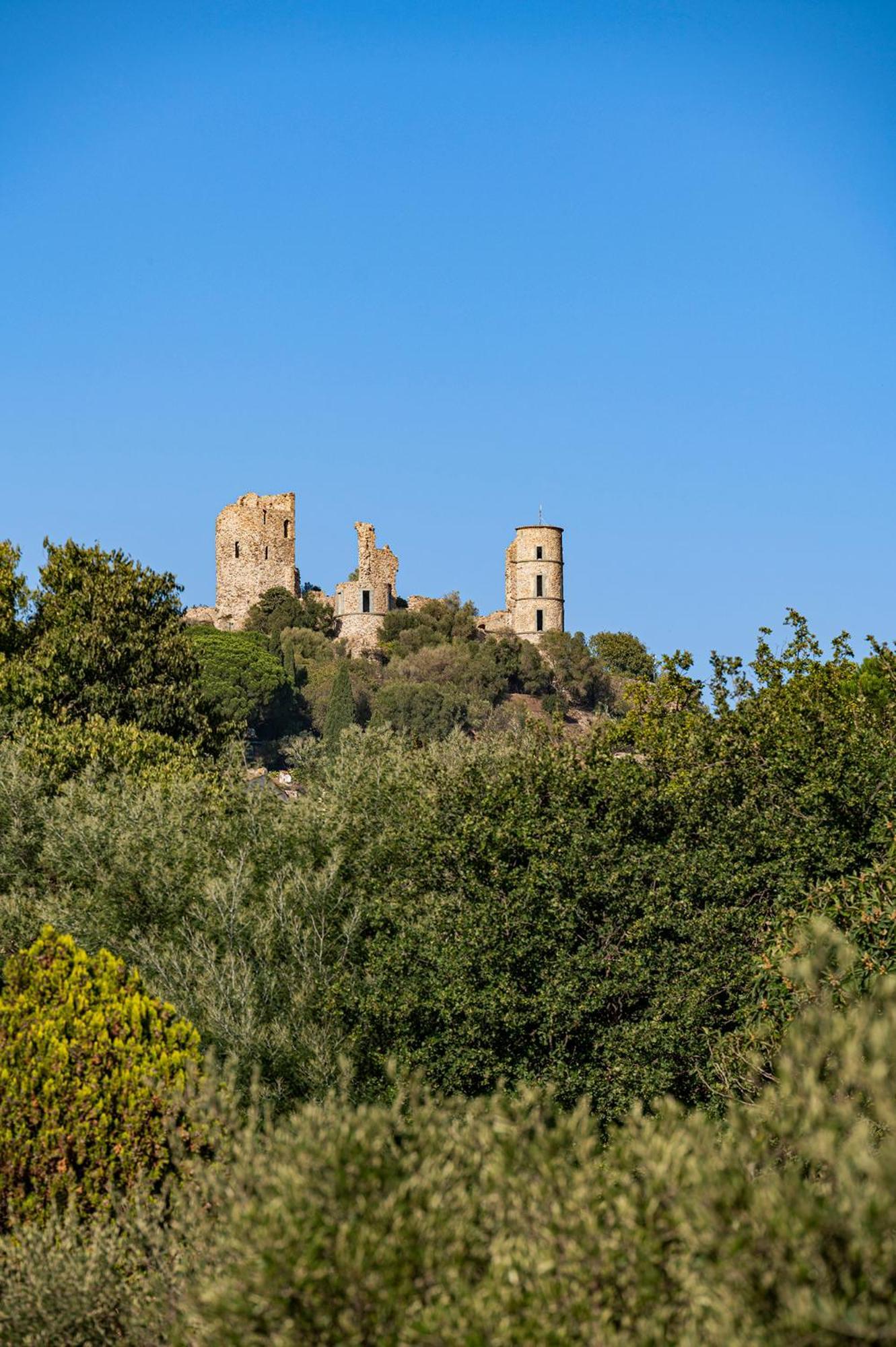 Le Clos De Mansart Grimaud Eksteriør billede